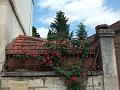 2010-05- (51)